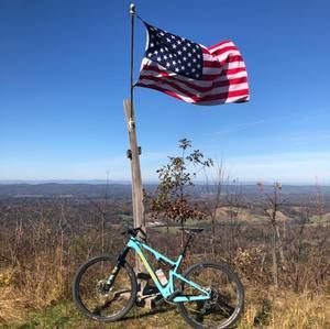 Meet your Posher, Steve